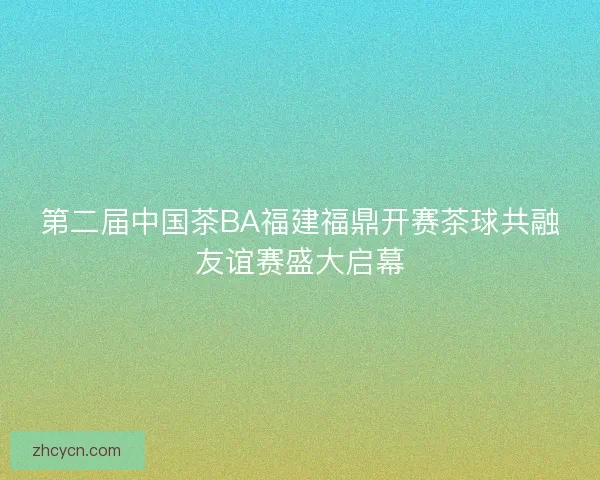 第二届中国茶BA福建福鼎开赛茶球共融友谊赛盛大启幕 第二届中国茶BA福建福鼎开赛茶球共融友谊赛盛大启幕
