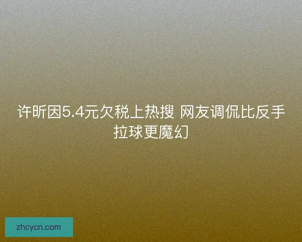 许昕因5.4元欠税上热搜 网友调侃比反手拉球更魔幻